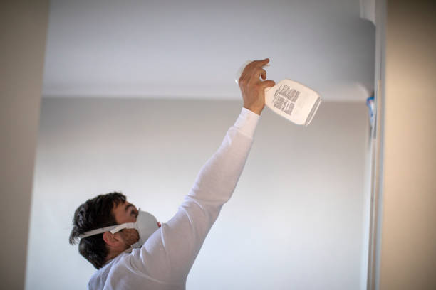 Best Mold Removal Company Near Me  in Country Clu, CA
