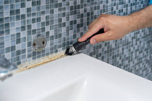 Best Best Mold Removal Companies  in Country Clu, CA