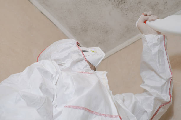 Best Office Mold Removal Services  in Country Clu, CA