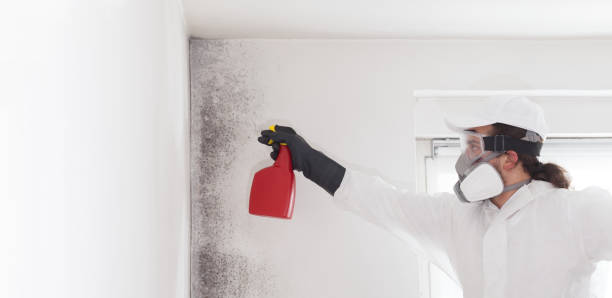Country Clu, CA Mold Removal Company