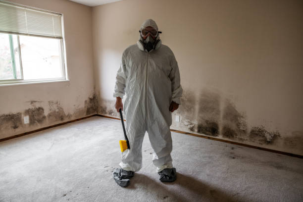 Best Same-Day Mold Removal  in Country Clu, CA