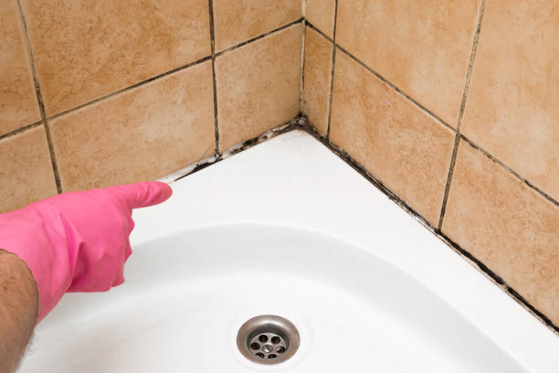 Best Emergency Mold Removal  in Country Clu, CA